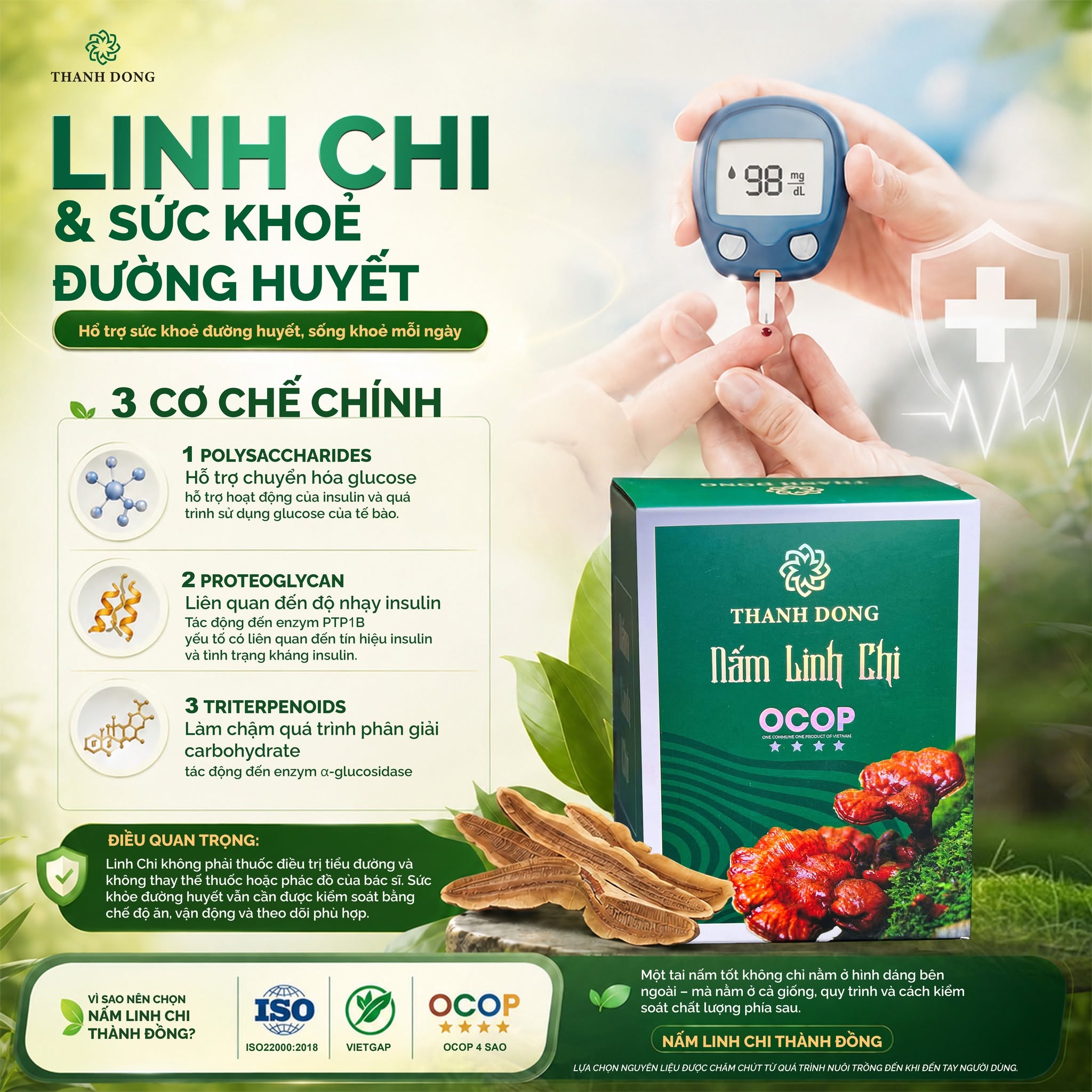 Cơ chế hỗ trợ đường huyết và tim mạch từ nấm linh chi